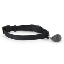 Load image into Gallery viewer, Petsafe Staywell Magnetic Collar And Key (Assorted) (One size)