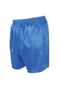 Precision Unisex Adult Micro-Stripe Football Shorts (Royal Blue)