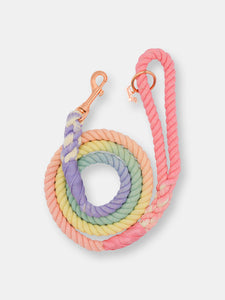 Rope Leash - Rainbow Bright