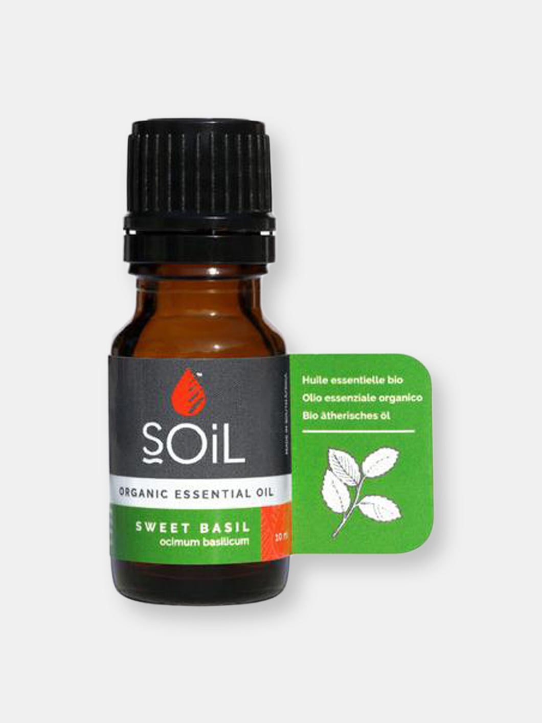 Organic Basil Essential Oil (Ocimum Basilicum) 10ml