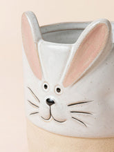 Load image into Gallery viewer, Robins Rabbit, Raccoon &amp; Kitty Pots - 5.4 + 4.3 +3.1 Inch