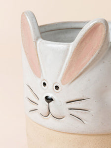 Robins Rabbit, Raccoon & Kitty Pots - 5.4 + 4.3 +3.1 Inch