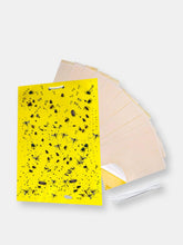 Load image into Gallery viewer, 6 x 8&quot; Yellow Sticky Traps for Flying Plant Insects Flies Gnats Whiteflies Aphids Pests