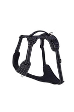 Load image into Gallery viewer, Rogz Explore Dog Harness (Black) (Small)