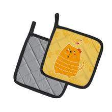 Load image into Gallery viewer, Fat Cat Love Pair of Pot Holders