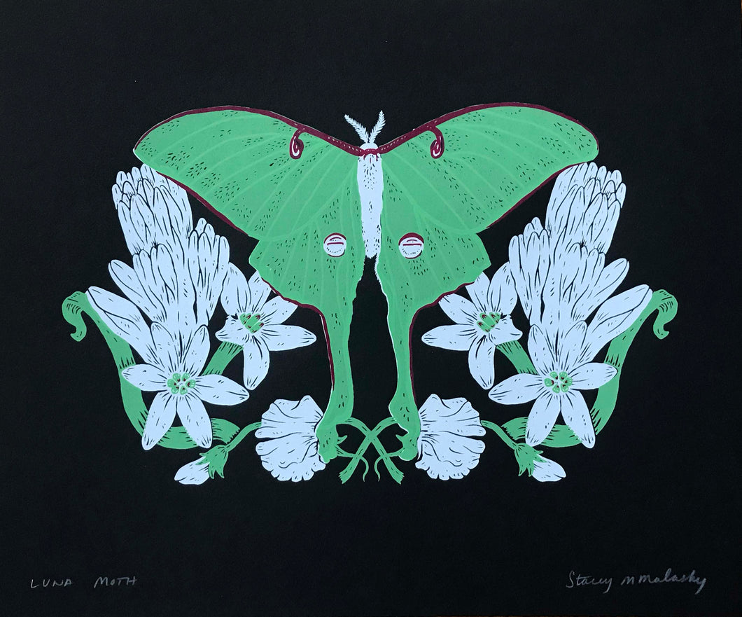 Luna Moth Print