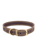 Load image into Gallery viewer, Ancol Pet Products Timberwolf Leather Collar (7.8-10.2in (Size 1))