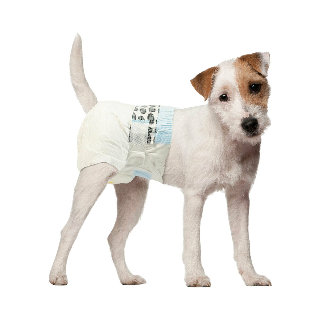 Simple Solution Disposable Dog Diapers (Pack Of 12) (May Vary) (Large Breeds)