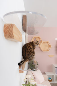 Oblong 35 in. Clear Acrylic Floating Cat Shelf