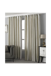Riva Home Hurlingham Ringtop Eyelet Curtains (Champagne) (46 x 54in)