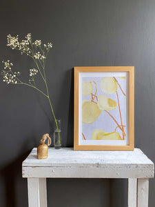 Art Print:  Milkweed on Pale Grey