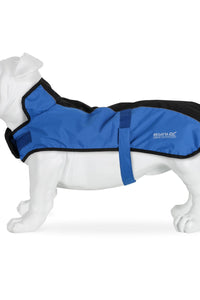 Regatta Great Outdoors Shep Dog Coat (Oxford Blue) (S) (S)