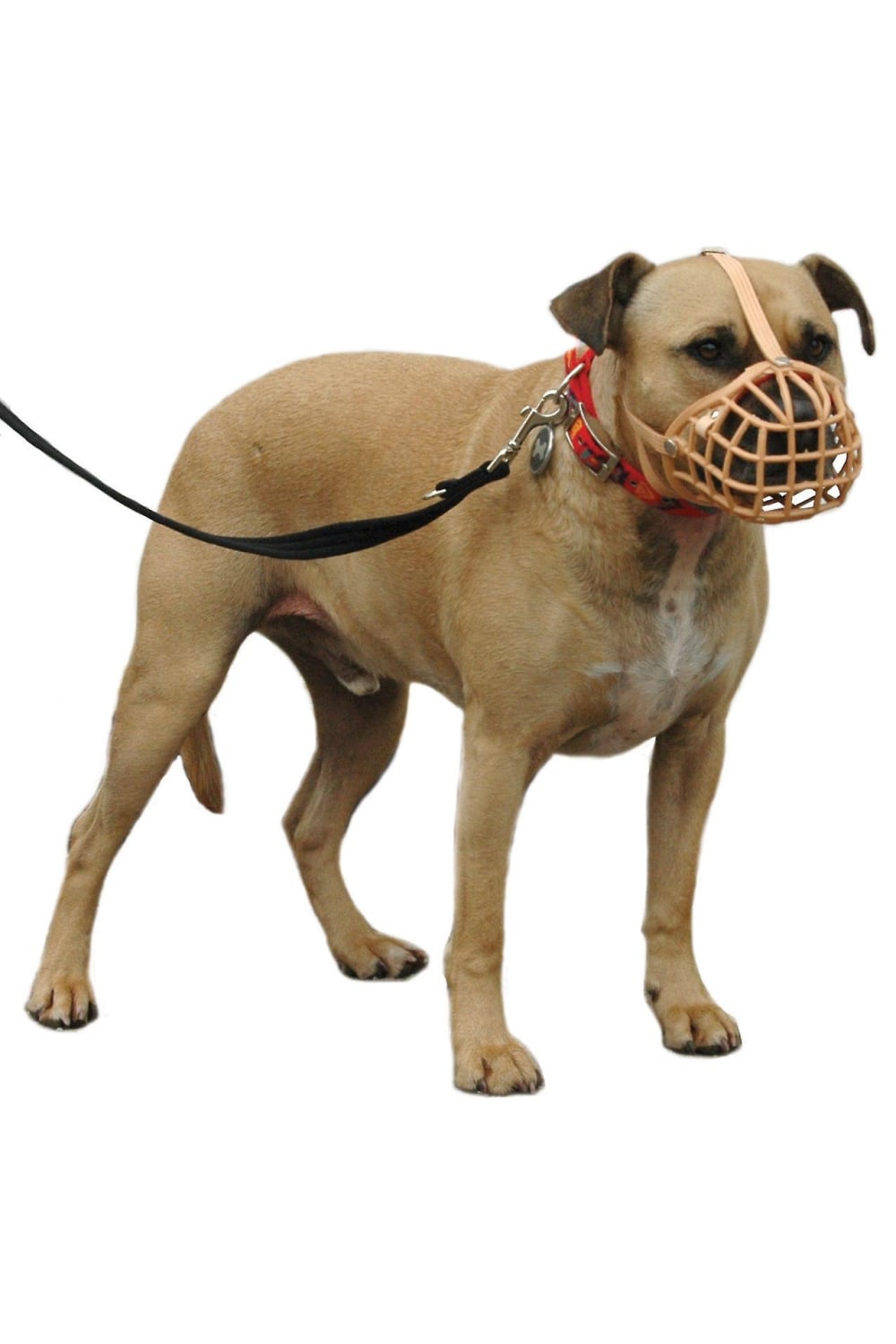 Company Of Animals Baskerville Dog Muzzle (Brown) (Size 13)