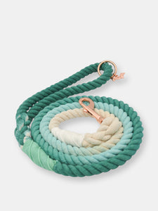 Rope Leash - Ombre Teal