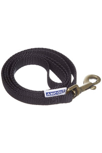 Ancol Pet Products Heritage Padded Weatherproof Dog Leash (Black) (1in x 3.3ft)