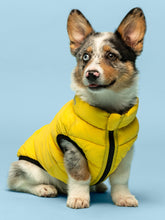 Load image into Gallery viewer, Yellow and Grey Pack N&#39; Go Reversible Puffer