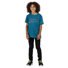 Load image into Gallery viewer, Regatta Childrens/Kids Bosley III Printed T-Shirt (Gulfstream)