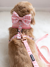 Load image into Gallery viewer, Dog Leash - Dolce Rose