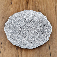 Load image into Gallery viewer, CORAL Set/4 8.5&quot; Salad Plates