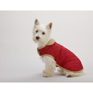 Dog Gone Smart Suede Quilted Belly Dog Coat (Red) (20in)
