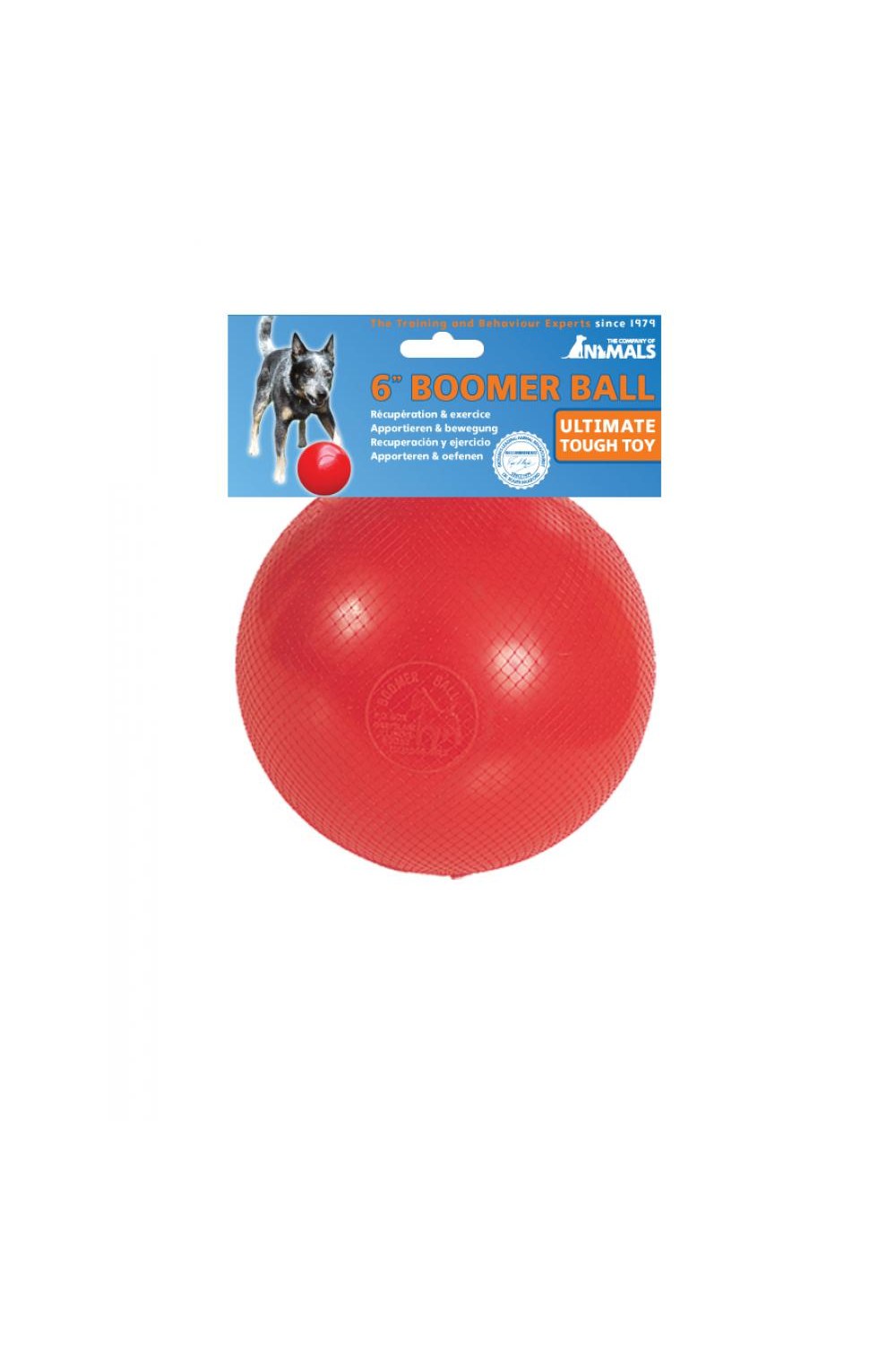 Boomer Ball Virtually Indestructible Ball Dog Toy (May Vary) (8 Inch)