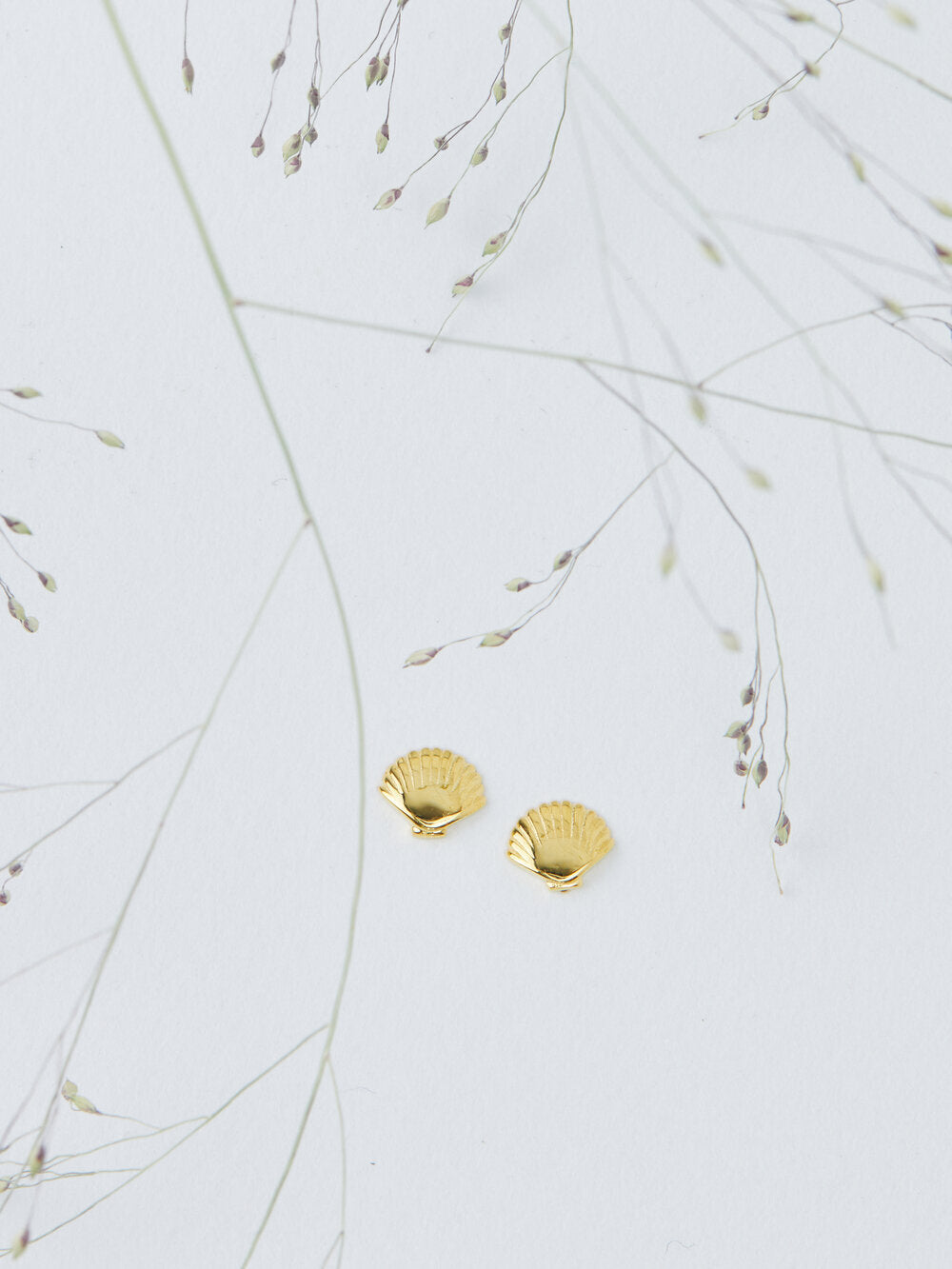 Mini Seashell Gold Stud Earrings