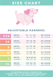 Adjustable Harness - Fantastic Beasts