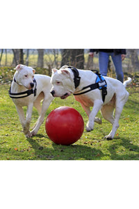 Jolly Pets Push-N-Play Dog Ball (Red) (6in)
