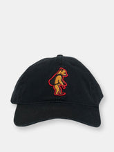 Load image into Gallery viewer, Grizzly Collection | Dad Hat