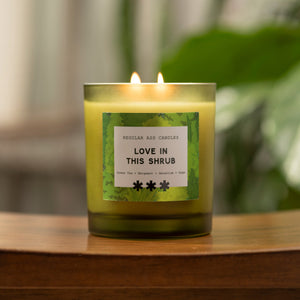 Love in This Shrub 11oz Candle, Bergamot + Green Tea