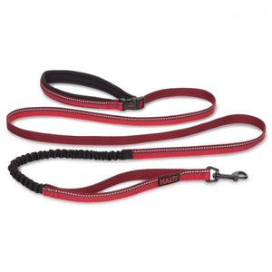 Company Of Animals Halti All In One Dog Leash (Red) (Small)