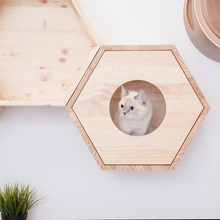 Load image into Gallery viewer, BusyCat-Cover Plate White: Wall Mounted Cat Shelves