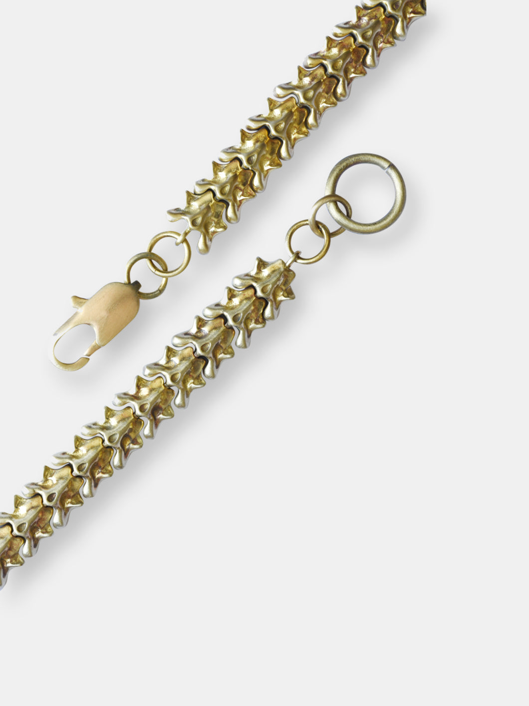 Vertebrate Brass Chain Bracelet