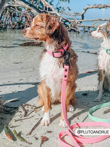 Waterproof Leash - Pink