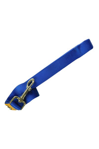 Canny Anti-Pull Dog Collar (Blue) (Size 3)