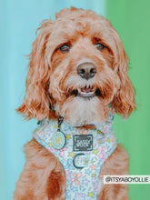 Load image into Gallery viewer, Bowtie - Pup Pup Hooray