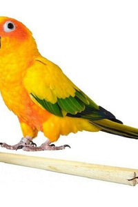 Happy Pet Wooden Budgie Perch (Twin Pack) (May Vary) (19in)