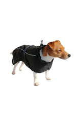 Load image into Gallery viewer, Ancol Extreme Blizzard Dog Coat (Black) (XS) (XS)