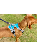 Load image into Gallery viewer, Henry Wag Travel Dog Harness (Blue/Gray) (Medium)