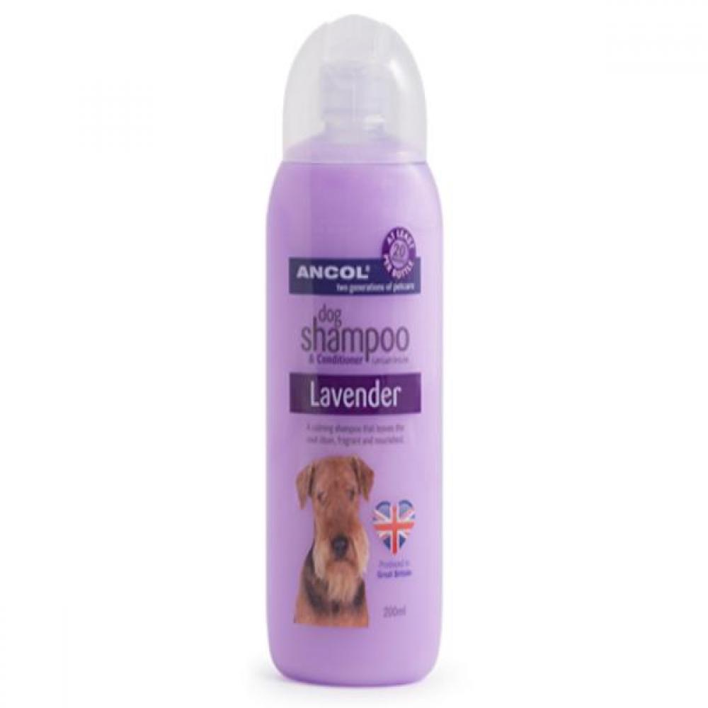 Ancol Lavender Dog Shampoo Liquid (May Vary) (6.8 fl oz)