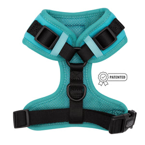 Adjustable Harness - Neon Blue