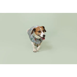 Cath Kidston Dog Rain Mac with Fleece Inner and Leather Label (Multicolored) (M)