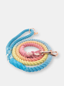 Dog Rope Leash - Bright