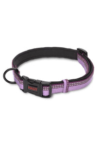 Company Of Animals Halti Dog Collar (Purple/Black) (35cm x 1cm)