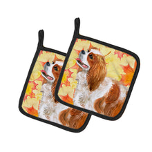Load image into Gallery viewer, Cavalier Spaniel Fall Pair of Pot Holders