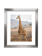 Load image into Gallery viewer, Giraffe in The Wild