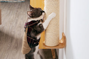Cylinder: Wall Mounted Using & Floor Using Cat Scratcher, Scratching Post