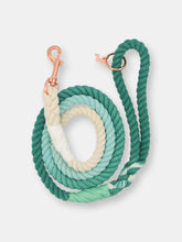 Load image into Gallery viewer, Rope Leash - Ombre Teal