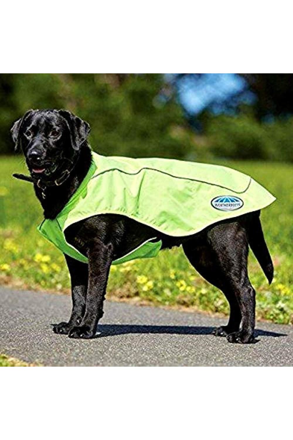 Weatherbeeta Reflective Exercise Dog Coat (Yellow) (19.7 inches)