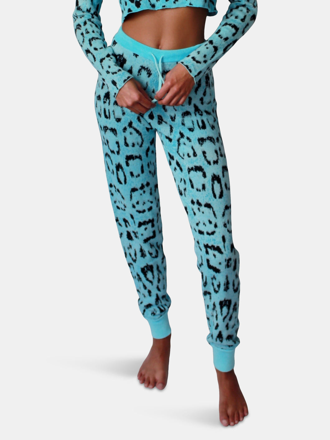 Knit Jogger in Turquoise Jaguar